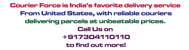 best delivery service from usa to india